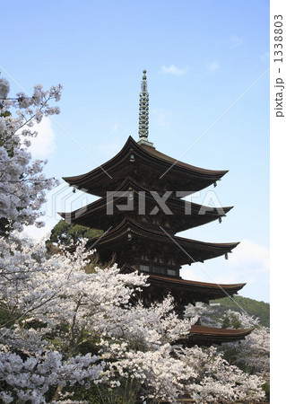 瑠璃光寺五重塔の春景色 1338803