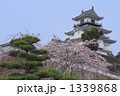 掛川城７ 1339868