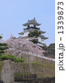 掛川城８ 1339873