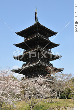 桜と五重塔 桜と五重塔 1340243