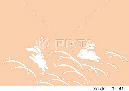 うさぎ柄■杏色■-01 1341634