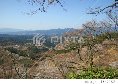 春の吉野山 春の吉野山 1342137