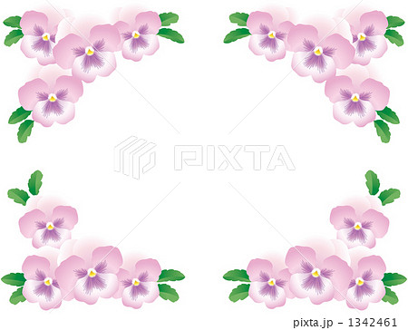 パンジー飾り枠ピンクのイラスト素材