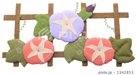 あさがお 1342853