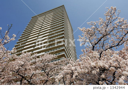 高層マンション 高層マンション 1342944