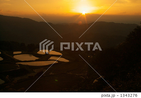 棚田の夜明け 1343276