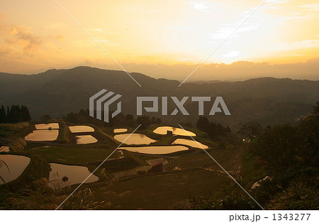 棚田の夜明け 1343277