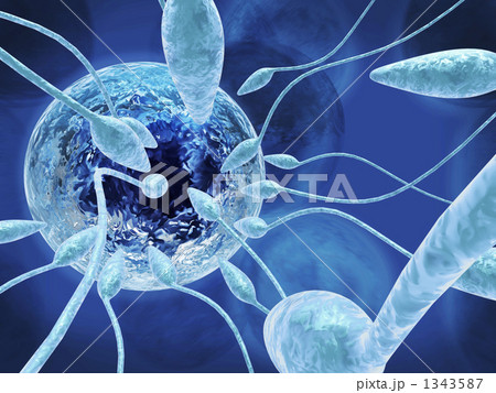 メディカル メディカル 1343587