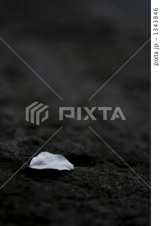 ひとひら 1343846