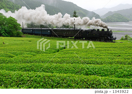 茶畑とＳＬ 1343922