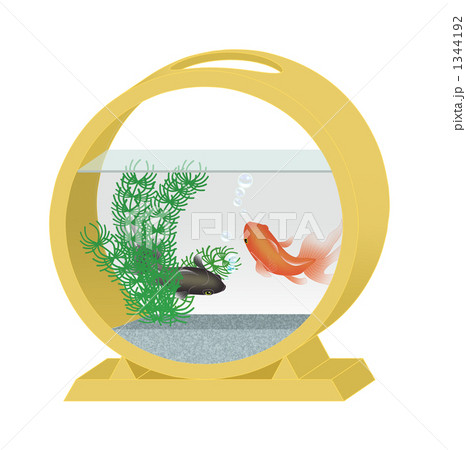 金魚鉢03 2匹わっぱ型 1344192