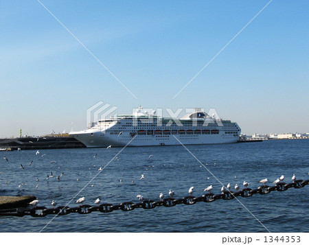 氷川丸のアンカーチェーン越しにサンプリンセスを望む 氷川丸のアンカーチェーン越しにサンプリンセスを望む 1344353