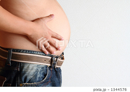 太ったお腹 1344576