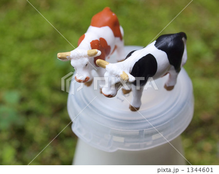 牛乳の上に牛 1344601