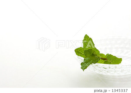 ミントと硝子の小皿 1345337