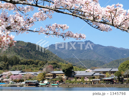 京都　嵐山の春 1345798