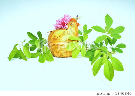 鶏雑貨と若葉 1346846