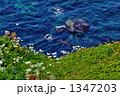 1347203