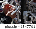 たまえ 1347701