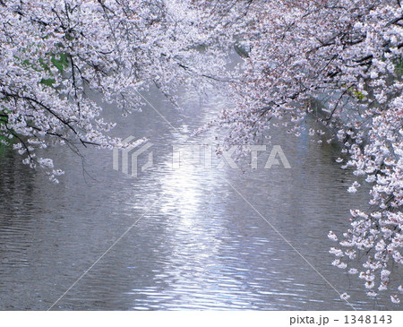 川面に映える。 1348143