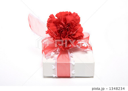 赤いカーネーションとハート付きリボンのプレゼント 1348234