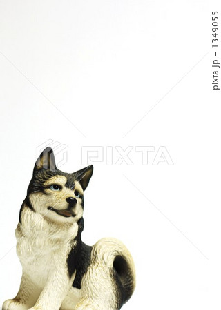 夢見る犬 1349055