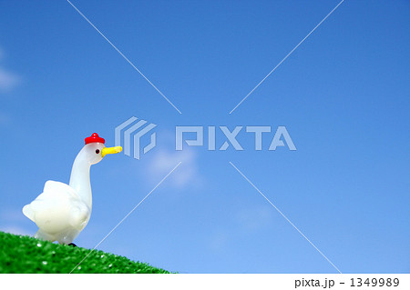 青空とアヒル 1349989