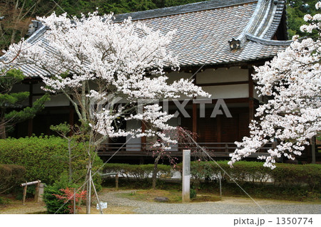 毘沙門堂 1350774