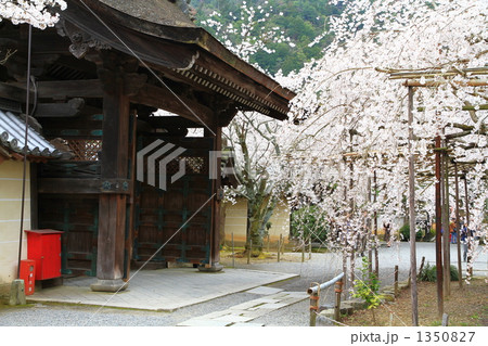 毘沙門堂 1350827