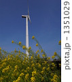 風力発電と菜の花 1351029