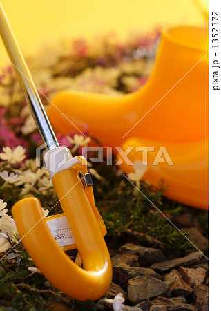 黄色い傘と長ぐつ 黄色い傘と長ぐつ 1352372