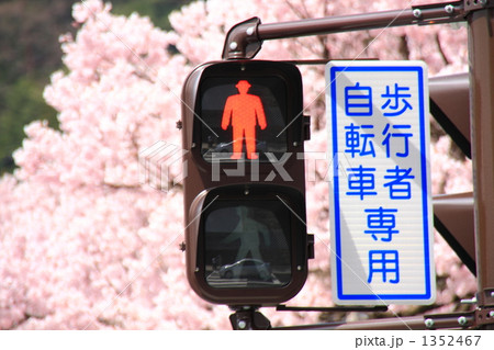 信号機~春 2 信号機~春 2 1352467