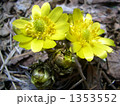 1353552