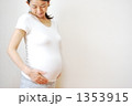 妊婦 1353915