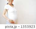 妊婦 1353923
