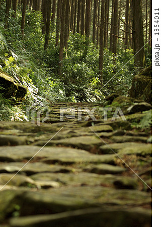 苔むした熊野古道 1354011