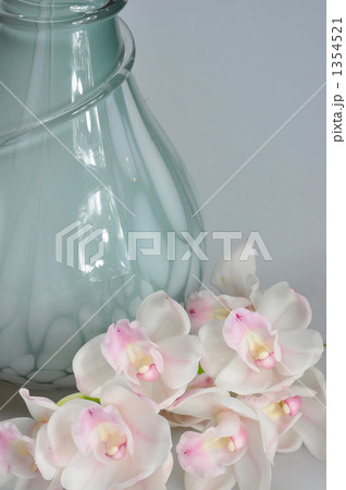 蘭と花瓶 蘭と花瓶 1354521