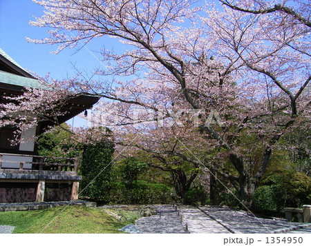 報国寺 報国寺 1354950