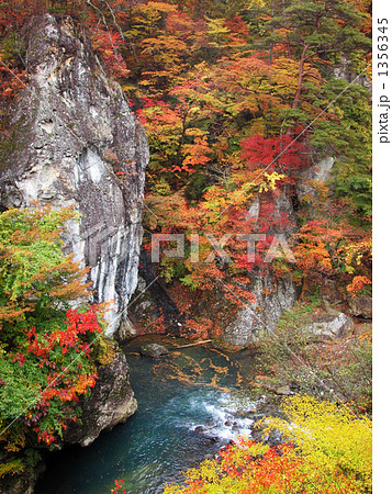 錦繍の鹿股川渓谷 1356345