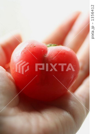 ハート型のトマト ハート型のトマト 1356412