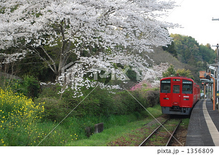 竹中駅 竹中駅 1356809