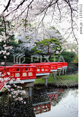 朱色の橋と桜 1358312