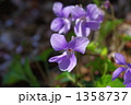 1358737
