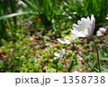 1358738