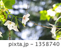 1358740