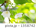 1358742