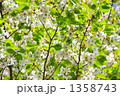 1358743