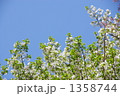 1358744