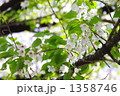 1358746