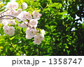 1358747